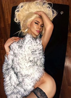9.5 inchs real HARDOMINAGIGANT POPPERS - Transsexual escort in Dubai Photo 6 of 7