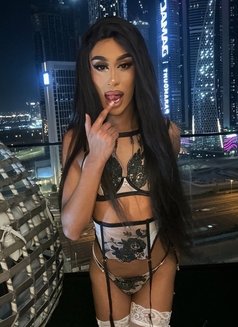 🇧🇷 9INCHES ✰ ✰ ✰ ✰ ✰ XXL @manelykhern - Transsexual escort in Dubai Photo 1 of 30
