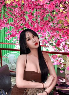 9 ๐๐๐๐๐๐๐ ๐๐๐๐๐๐ ๐๐๐๐โ
- Transsexual escort agency in Pattaya Photo 13 of 24