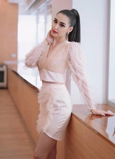 9817four64228 I Am Janvi Eacort Service - escort in Chandigarh Photo 1 of 10