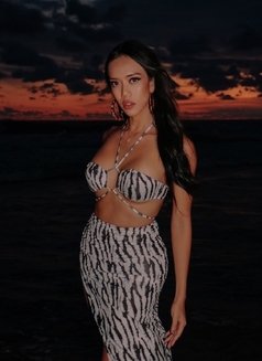 A Beauty Queen With 8 inch COCK - Transsexual escort in Bali Photo 19 of 24