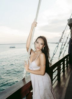 A Beauty Queen With 8 inch COCK - Transsexual escort in Bali Photo 28 of 29