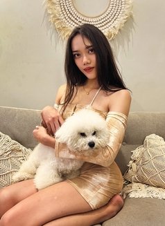 A Beauty Queen With 8 inch COCK - Transsexual escort in Bali Photo 21 of 28