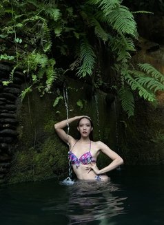 A Beauty Queen With 8 inch COCK - Transsexual escort in Bali Photo 24 of 28