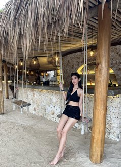 A C A - escort in Bali Photo 3 of 7