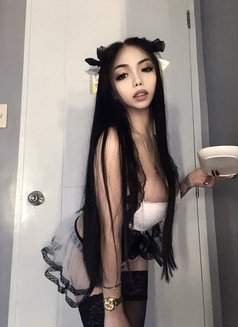 A$ian Bømb$hell - Transsexual escort in Manila Photo 8 of 12