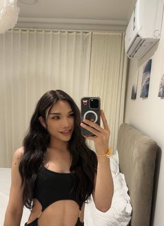 A’Lisa Shemale More Top - Male escort in Dammam Photo 6 of 6