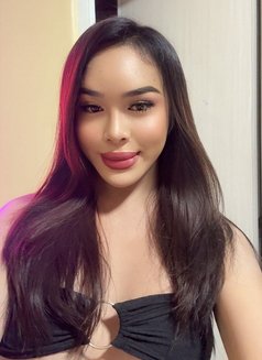 A Lot of Cum Meet&Camshow - Acompañantes transexual in Manila Photo 21 of 21