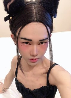 A Lustful Ladyboy Slave - masseuse in Riyadh Photo 1 of 8
