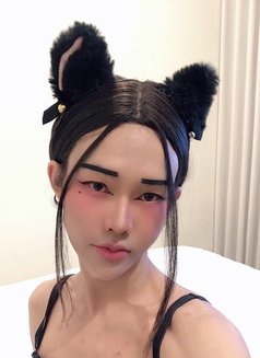 A Lustful Ladyboy Slave - masseuse in Riyadh Photo 3 of 8