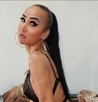 A MOMY BDSM - Transsexual escort in Bangkok