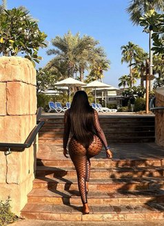 A Y - escort in Dubai Photo 5 of 5