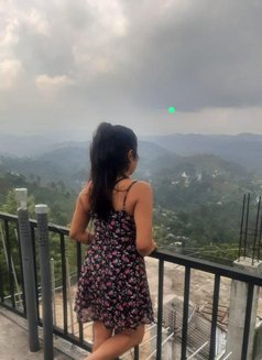 A young and cute girl Roshel independent - escort in Colombo Photo 8 of 13