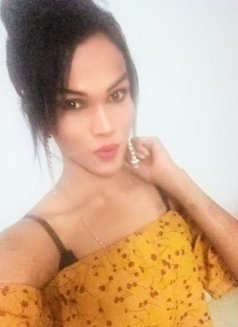 A Zi L(shonali Qtli)when Hard Cock 9inch - Transsexual escort in Colombo Photo 13 of 27