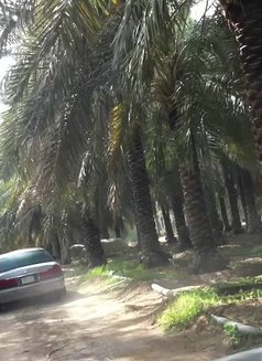 A69 Hot Lover - Male escort in Riyadh Photo 4 of 5