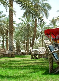 A69 Hot Lover - Male escort in Riyadh Photo 1 of 5