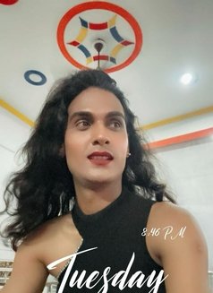 Aalia - Transsexual escort in New Delhi Photo 2 of 4