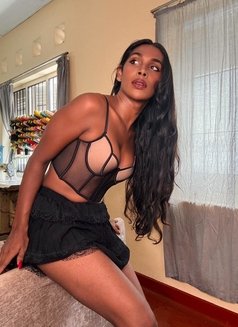 Aaliya Fallen - Acompañantes transexual in Colombo Photo 7 of 22