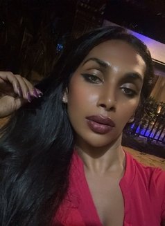 Aaliya Fallen - Acompañantes transexual in Colombo Photo 11 of 22