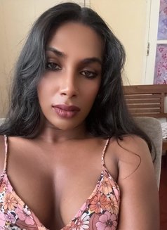 Aaliya Fallen - Acompañantes transexual in Colombo Photo 22 of 23