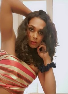 Aaliya - Transsexual adult performer in Colombo Photo 17 of 25