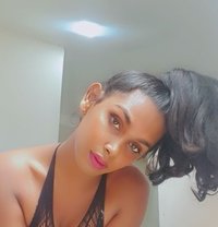 Aaliya - Transsexual adult performer in Colombo