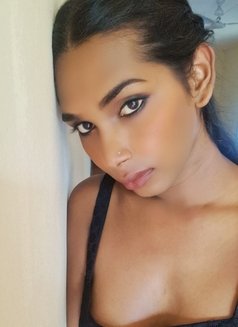 Aaliya - Transsexual adult performer in Colombo Photo 26 of 29