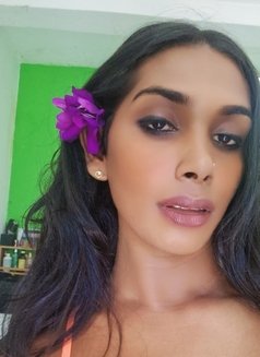 Aaliya - Transsexual adult performer in Colombo Photo 28 of 29