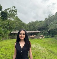 Aaliyaf - Transsexual escort in Hong Kong