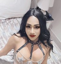 Aanny - Transsexual escort in Al Sohar