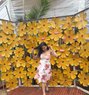 Aapki siya - Acompañantes transexual in Pune Photo 20 of 25