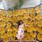 Aapki siya - Transsexual escort in Bangalore