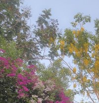 Aarav Ray - Acompañantes masculino in Ahmedabad