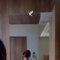 Aarohi Royal Elegance - escort in Jaipur Photo 4 of 7