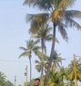 Aashish - Male escort in Surat Photo 1 of 1
