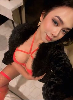 AashniQuinn - Acompañantes transexual in Kuala Lumpur Photo 25 of 25