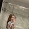 Abby - escort in Doha Photo 2 of 6