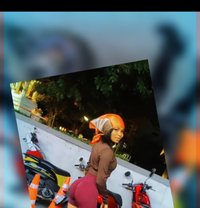 Abbygirl - escort in Phuket