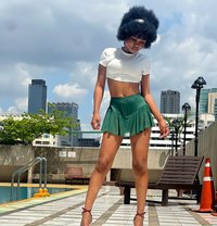 Abbygirl - escort in Bangkok