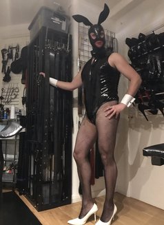 Abc Chidina - dominatrix in Bucharest Photo 1 of 6