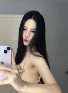 Abigail Ladyboy Thailand - Transsexual escort in Khobar Photo 11 of 12