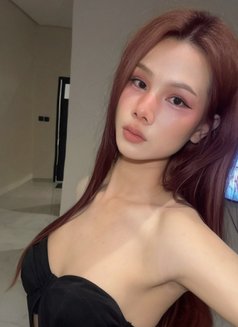 Abigail Ladyboy Thailand - Transsexual escort in Khobar Photo 19 of 20