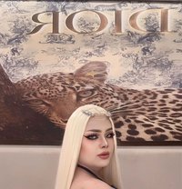 Abina ladyboy both with popper - Transsexual escort in Riyadh Photo 1 of 1