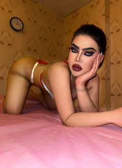 Abina Hot Lady Boy Massage - Transsexual escort in Riyadh Photo 4 of 5