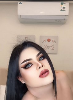 VVIP Abina New Ladyboy - Transsexual escort in Khobar Photo 1 of 6