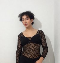 Abir - Acompañantes transexual in Riyadh