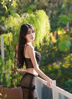 Absolute Beauty Arina - puta in Bangkok Photo 8 of 9