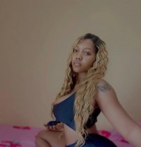 Accy - escort in Gurgaon