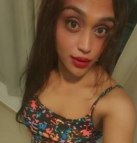Active 7. 9 Ts Here - Transsexual escort in Bangalore