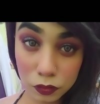 Active Shemale Akrisha Vidio Sex - Acompañantes transexual in Bangalore